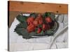 Still Life with Strawberries, 1921-Félix Vallotton-Stretched Canvas