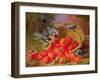 Still Life with Strawberries and Bluetits-Eloise Harriet Stannard-Framed Giclee Print