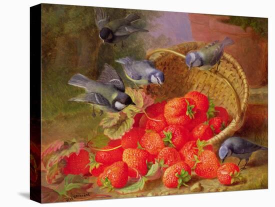 Still Life with Strawberries and Bluetits-Eloise Harriet Stannard-Stretched Canvas