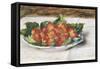 Still Life with Strawberries, Painted Circa 1880-Edgar Degas-Framed Stretched Canvas