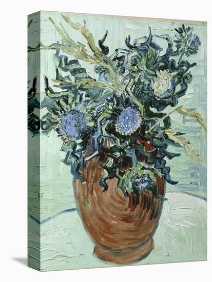 Still Life with Thistles, 1890-Vincent van Gogh-Stretched Canvas