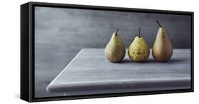 Still Life with Three Autumn Pears on an Old Table-Barbara Dudzinska-Framed Stretched Canvas