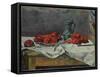 Still Life with Tomatoes, 1883-Paul Gauguin-Framed Stretched Canvas