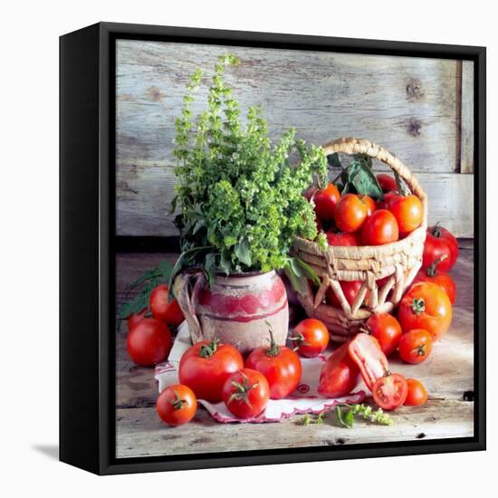 Still Life with Tomatoes and Flowering Basil in a Vase-null-Framed Stretched Canvas