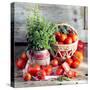 Still Life with Tomatoes and Flowering Basil in a Vase-null-Stretched Canvas