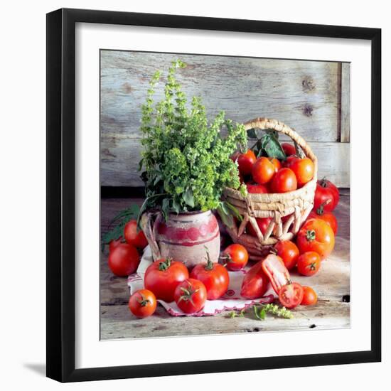 Still Life with Tomatoes and Flowering Basil in a Vase-null-Framed Photographic Print