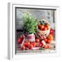 Still Life with Tomatoes and Flowering Basil in a Vase-null-Framed Photographic Print