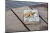 Still Life with Travel Diary, Wooden Jetty, Seashell, Starfish-Andrea Haase-Mounted Photographic Print