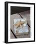 Still Life with Travel Diary, Wooden Jetty, Seashell, Starfish-Andrea Haase-Framed Photographic Print