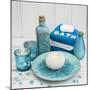 Still Life with Turquoise Objects, Symbol Wellness-Andrea Haase-Mounted Photographic Print