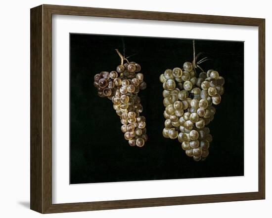 Still Life With Two Bunches of Grapes, Middle 17th Century, Spanish School-Juan Fernandez el labrador-Framed Giclee Print