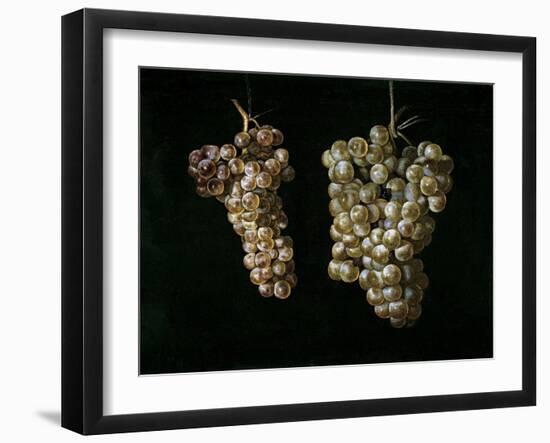 Still Life With Two Bunches of Grapes, Middle 17th Century, Spanish School-Juan Fernandez el labrador-Framed Giclee Print