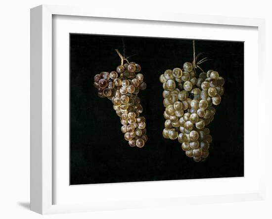Still Life With Two Bunches of Grapes, Middle 17th Century, Spanish School-Juan Fernandez el labrador-Framed Giclee Print