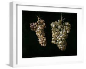 Still Life With Two Bunches of Grapes, Middle 17th Century, Spanish School-Juan Fernandez el labrador-Framed Giclee Print