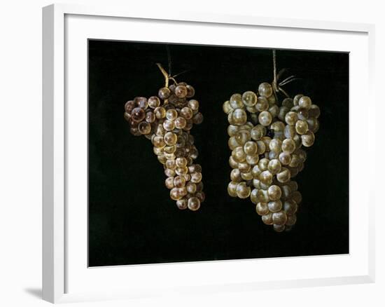 Still Life With Two Bunches of Grapes, Middle 17th Century, Spanish School-Juan Fernandez el labrador-Framed Giclee Print