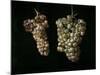 Still Life With Two Bunches of Grapes, Middle 17th Century, Spanish School-Juan Fernandez el labrador-Mounted Giclee Print