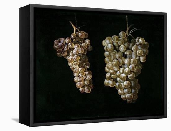 Still Life With Two Bunches of Grapes, Middle 17th Century, Spanish School-Juan Fernandez el labrador-Framed Stretched Canvas