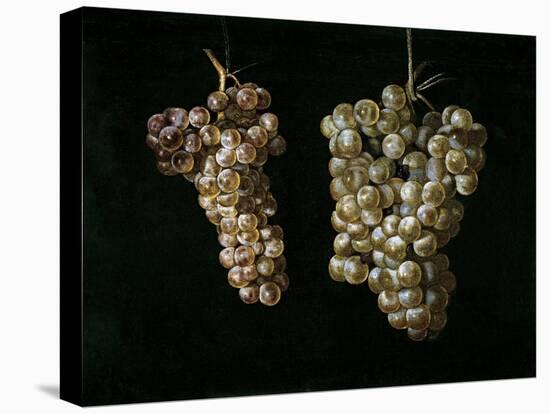 Still Life With Two Bunches of Grapes, Middle 17th Century, Spanish School-Juan Fernandez el labrador-Stretched Canvas