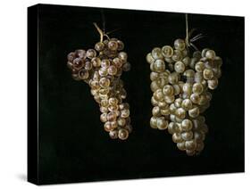 Still Life With Two Bunches of Grapes, Middle 17th Century, Spanish School-Juan Fernandez el labrador-Stretched Canvas