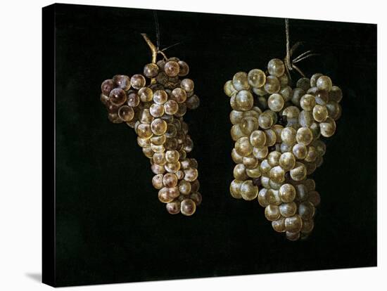 Still Life With Two Bunches of Grapes, Middle 17th Century, Spanish School-Juan Fernandez el labrador-Stretched Canvas
