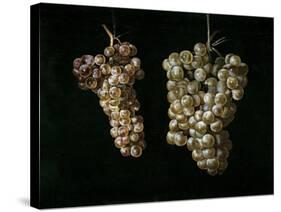 Still Life With Two Bunches of Grapes, Middle 17th Century, Spanish School-Juan Fernandez el labrador-Stretched Canvas