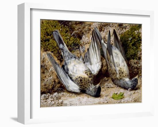 Still Life with Two Dead Birds, No Date (Watercolour on Paper)-John Sherrin-Framed Giclee Print