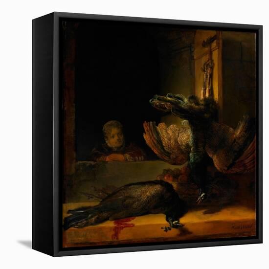 Still Life with Two Peacocks and a Girl, Ca 1639-Rembrandt van Rijn-Framed Stretched Canvas