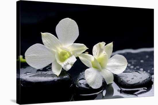 Still Life with Two White Orchid with Stones-crystalfoto-Stretched Canvas