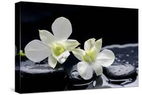 Still Life with Two White Orchid with Stones-crystalfoto-Stretched Canvas