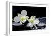 Still Life with Two White Orchid with Stones-crystalfoto-Framed Photographic Print