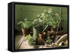 Still Life with Various Herbs in Pots-Gerrit Buntrock-Framed Stretched Canvas