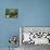 Still Life with Various Herbs in Pots-Gerrit Buntrock-Photographic Print displayed on a wall