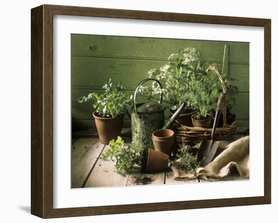 Still Life with Various Herbs in Pots-Gerrit Buntrock-Framed Photographic Print