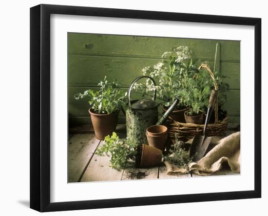 Still Life with Various Herbs in Pots-Gerrit Buntrock-Framed Photographic Print