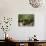 Still Life with Various Herbs in Pots-Gerrit Buntrock-Photographic Print displayed on a wall