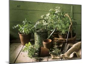 Still Life with Various Herbs in Pots-Gerrit Buntrock-Mounted Photographic Print