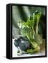 Still Life with Various Sorts of Cabbage-Alan Richardson-Framed Stretched Canvas