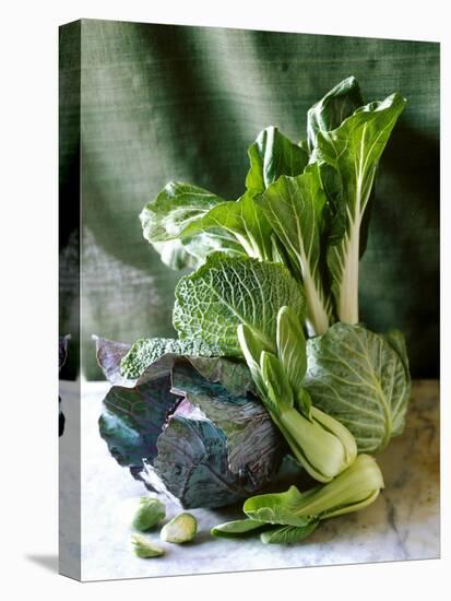 Still Life with Various Sorts of Cabbage-Alan Richardson-Stretched Canvas