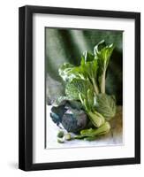 Still Life with Various Sorts of Cabbage-Alan Richardson-Framed Premium Photographic Print