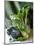 Still Life with Various Sorts of Cabbage-Alan Richardson-Mounted Premium Photographic Print