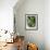 Still Life with Various Sorts of Cabbage-Alan Richardson-Framed Photographic Print displayed on a wall