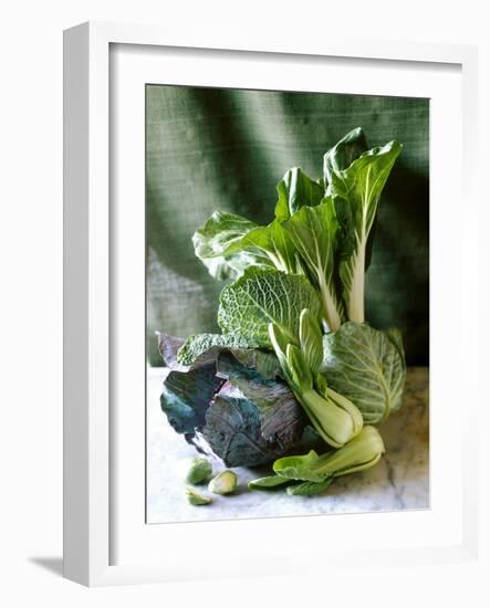 Still Life with Various Sorts of Cabbage-Alan Richardson-Framed Photographic Print