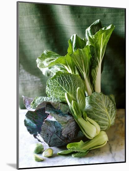 Still Life with Various Sorts of Cabbage-Alan Richardson-Mounted Photographic Print