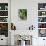 Still Life with Various Sorts of Cabbage-Alan Richardson-Photographic Print displayed on a wall