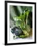 Still Life with Various Sorts of Cabbage-Alan Richardson-Framed Photographic Print