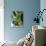 Still Life with Various Sorts of Cabbage-Alan Richardson-Photographic Print displayed on a wall