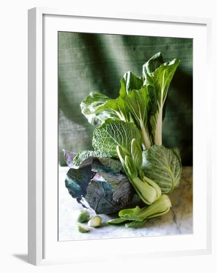 Still Life with Various Sorts of Cabbage-Alan Richardson-Framed Photographic Print