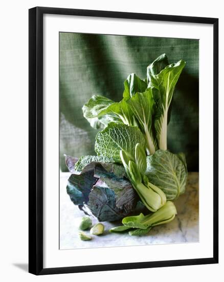 Still Life with Various Sorts of Cabbage-Alan Richardson-Framed Photographic Print