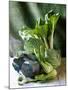 Still Life with Various Sorts of Cabbage-Alan Richardson-Mounted Photographic Print