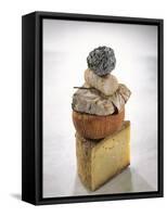 Still Life with Various Types of French Cheese-Nicolas Leser-Framed Stretched Canvas
